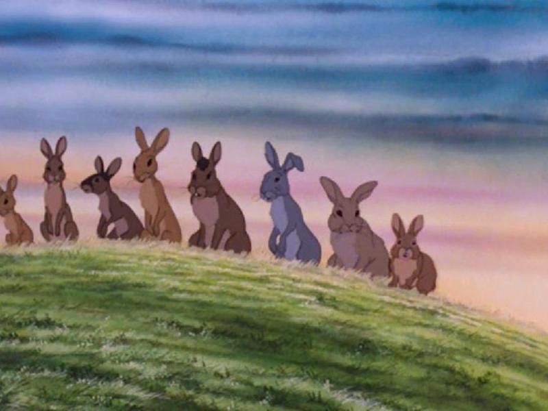 ImoReads… ‘Watership Down’ (1972) by Richard&nbsp;Adams